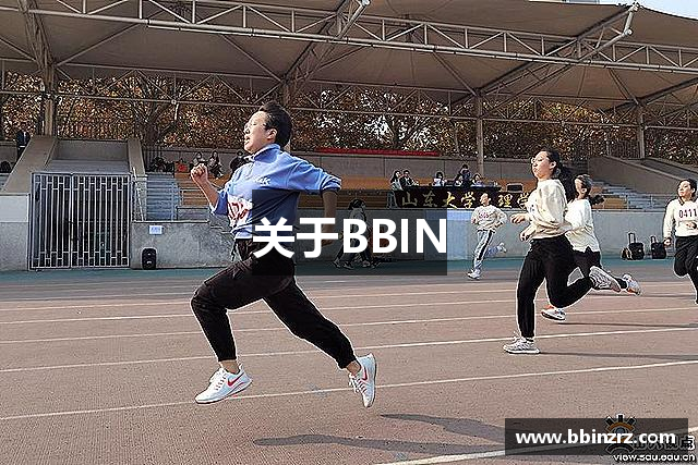 关于BBIN